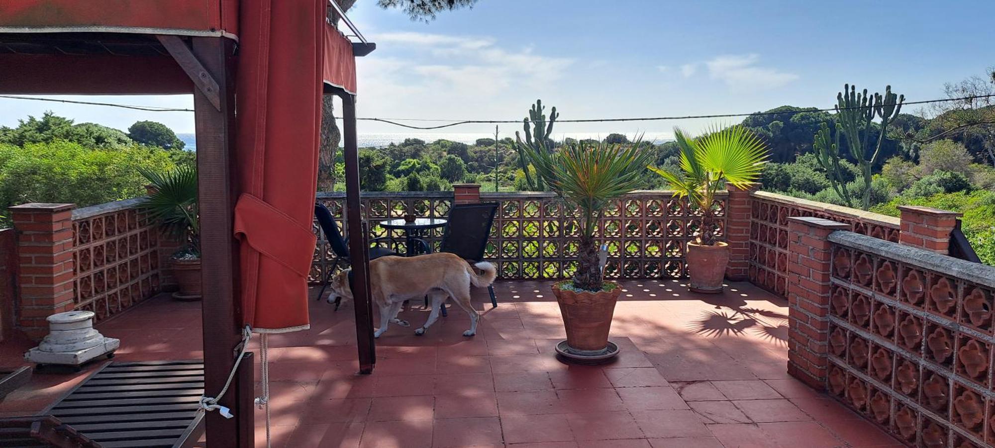 Garden Cottage At Casa Madden Marbella Exterior photo